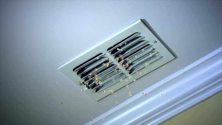 Best Dryer Vent Cleaning Services  in Timpson, TX